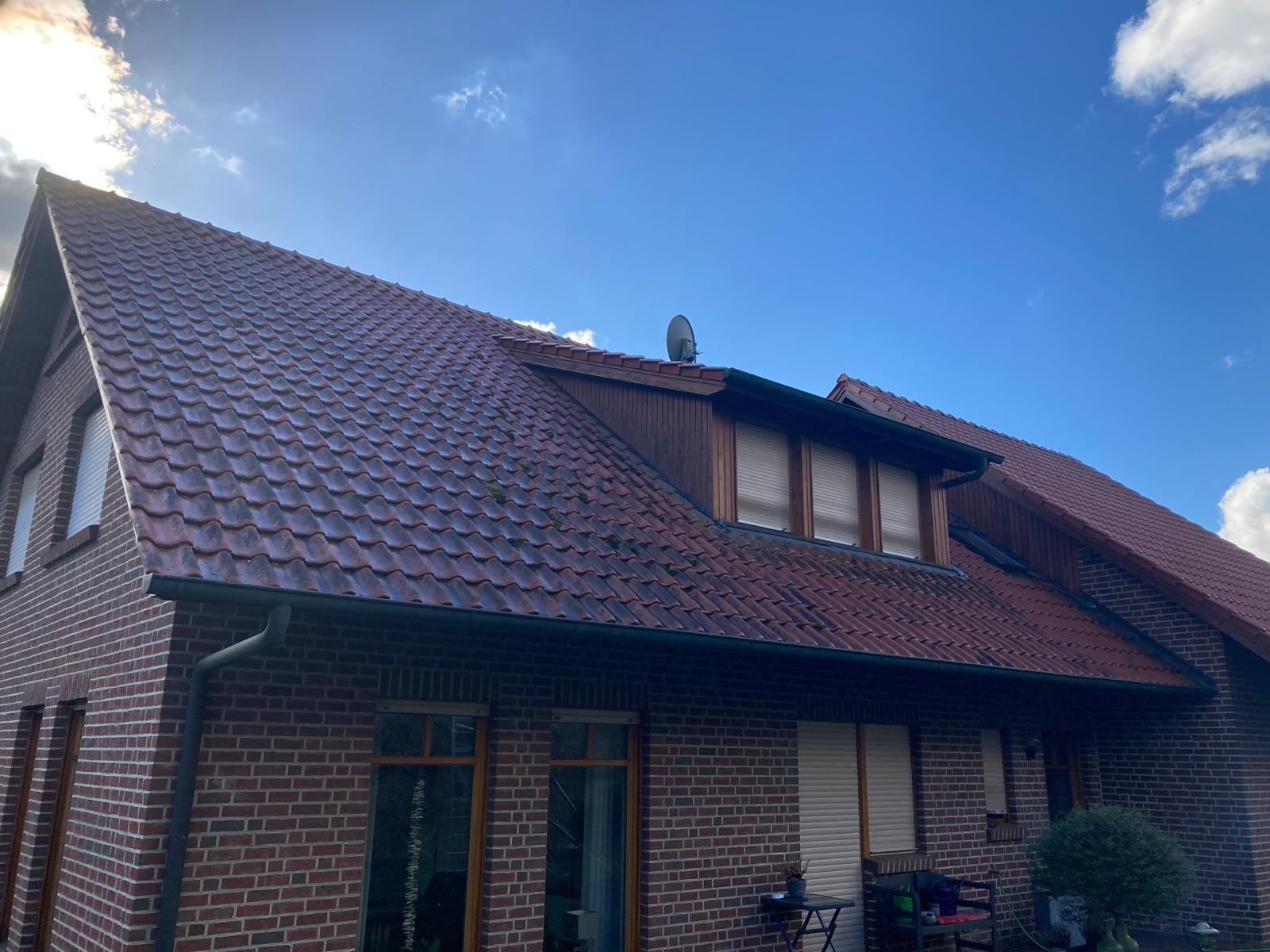 Dach vor der Reinigung